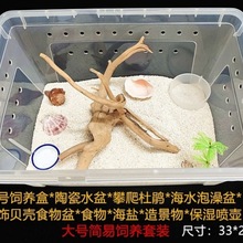 寄居蟹饲养箱饲养套餐新手套装饲养缸爬盒昆虫观察盒乌龟房子用品