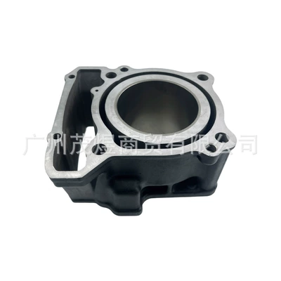 250Sr Cylinder Piston Ring – Cylinder and parts
