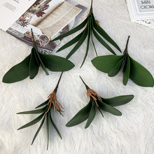 m~m~Ҿ҃Ȕ[滨쾰zֲ~