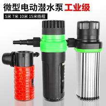 ˮ��С�������ˮ�C΢�ͼ���12v��ˮ���_�ۙCˮ荌��Ý�ˮ������