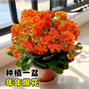 �L�ۻ������ذ�����󻨎����������ļ��҃��_�����B�Ļ���ֲ��