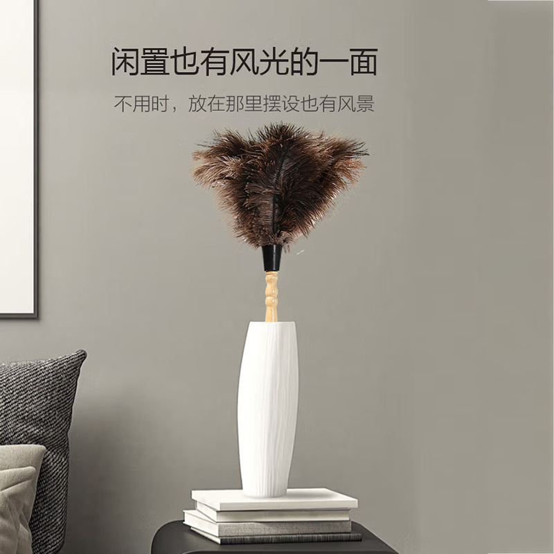 Cross-border hot sale long handle ostrich feather duster household dust duster electrostatic adsorption dust Duster car dust duster