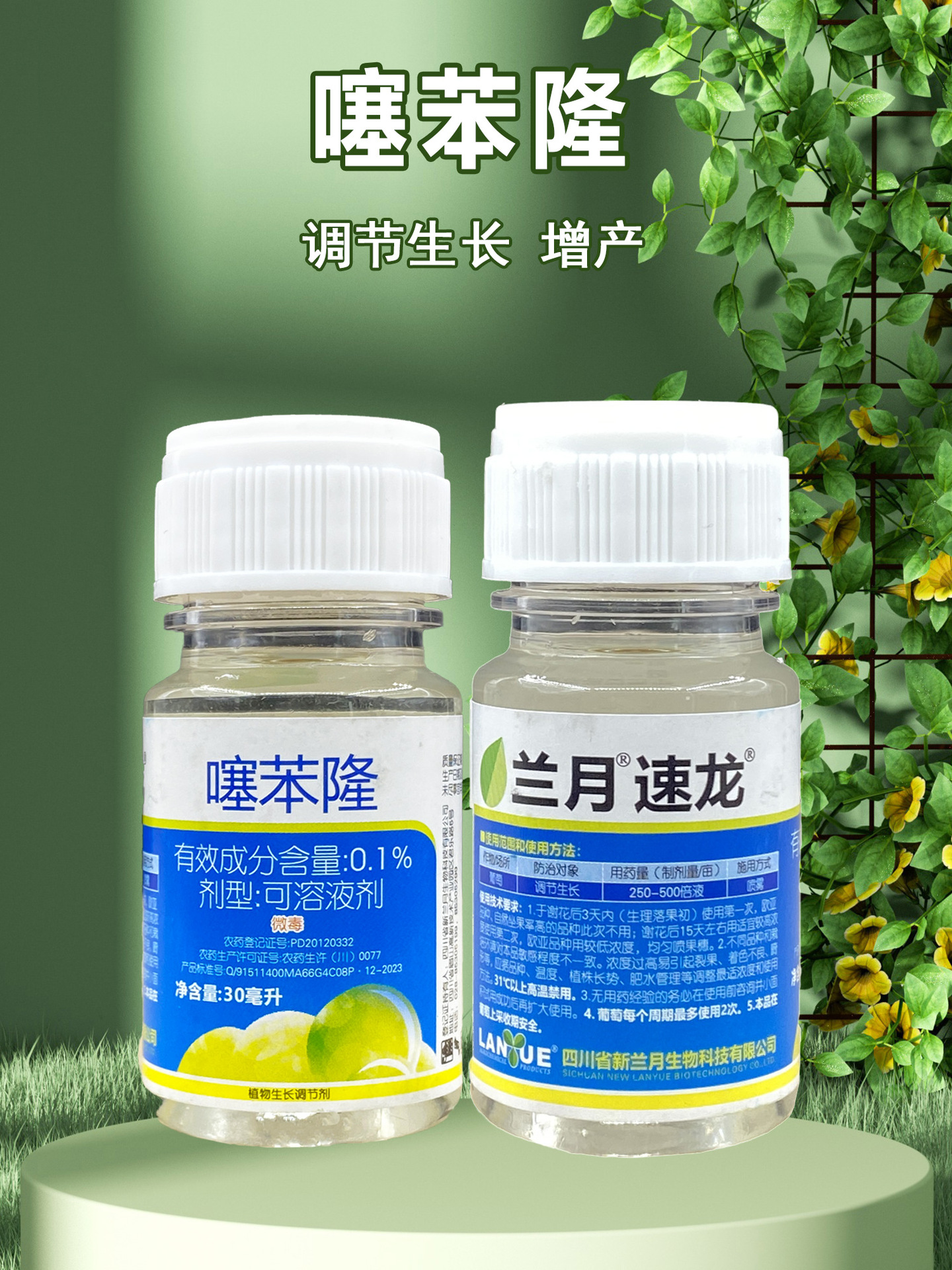 微信图片_20250219111024