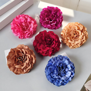 ���^ֱ��12cm�����¼��Nޱ���^�������lõ�彁���z��Ƭ�������