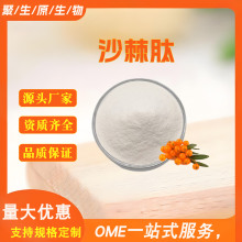 现货供应沙棘肽99%沙棘肽粉食品级沙棘低聚肽小分子活性肽