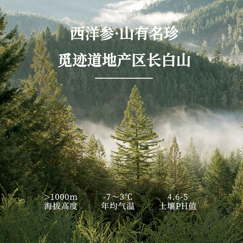 Yu Ling Gao (玉灵膏) — Steamed Longan & American Ginseng Herbal Paste, 220g overview