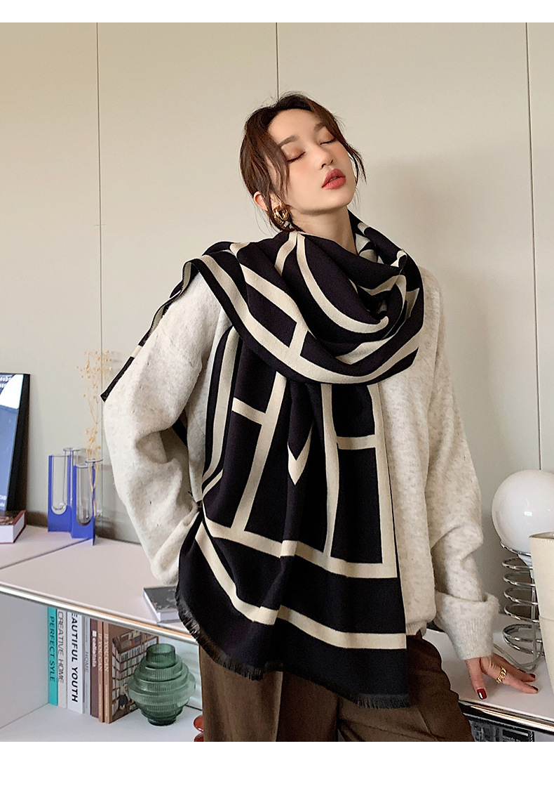 Women's Lady Streetwear Color Block Imitation Cashmere Scarf display picture 2