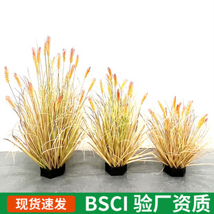 ����Gֲ���Ծ��҃�ֲ����������ӿ͏d�쾰�bGֲ����ٻ�����