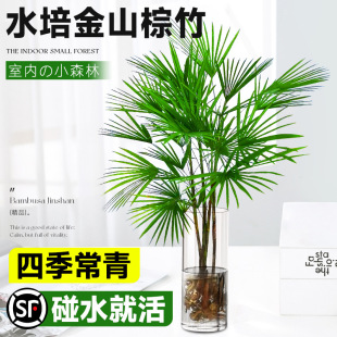 ��D��ɽ���F��ˮ��ֲ�����ӾGֲ�͏d�҃�������ؔ���B��լˮ����