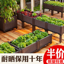 种植箱阳台蔬菜户外庭院楼顶室内组装种菜盆简约家庭菜园塑料花盆