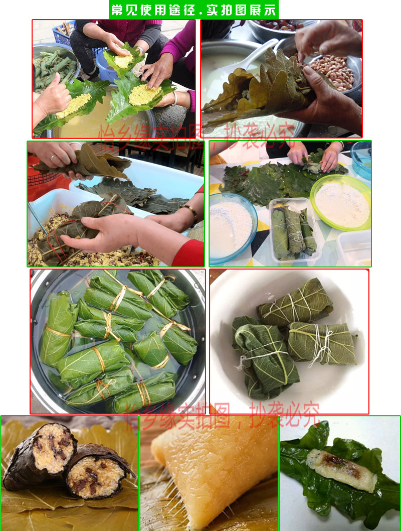 新鲜大粽叶槲叶 伯乐叶柞树叶端午包粽子100片饼现采玻璃叶桲椤叶-阿里巴巴