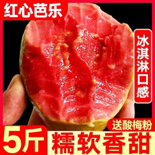 �V���t��ܛ�İŘ���ʯ�����Ř�ܛ���uʺ��1/35����]���l���Sֱ�N