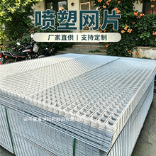 喷塑浸塑白色网格片货架防护铁丝隔离网展示陈列置物铁艺网架围栏