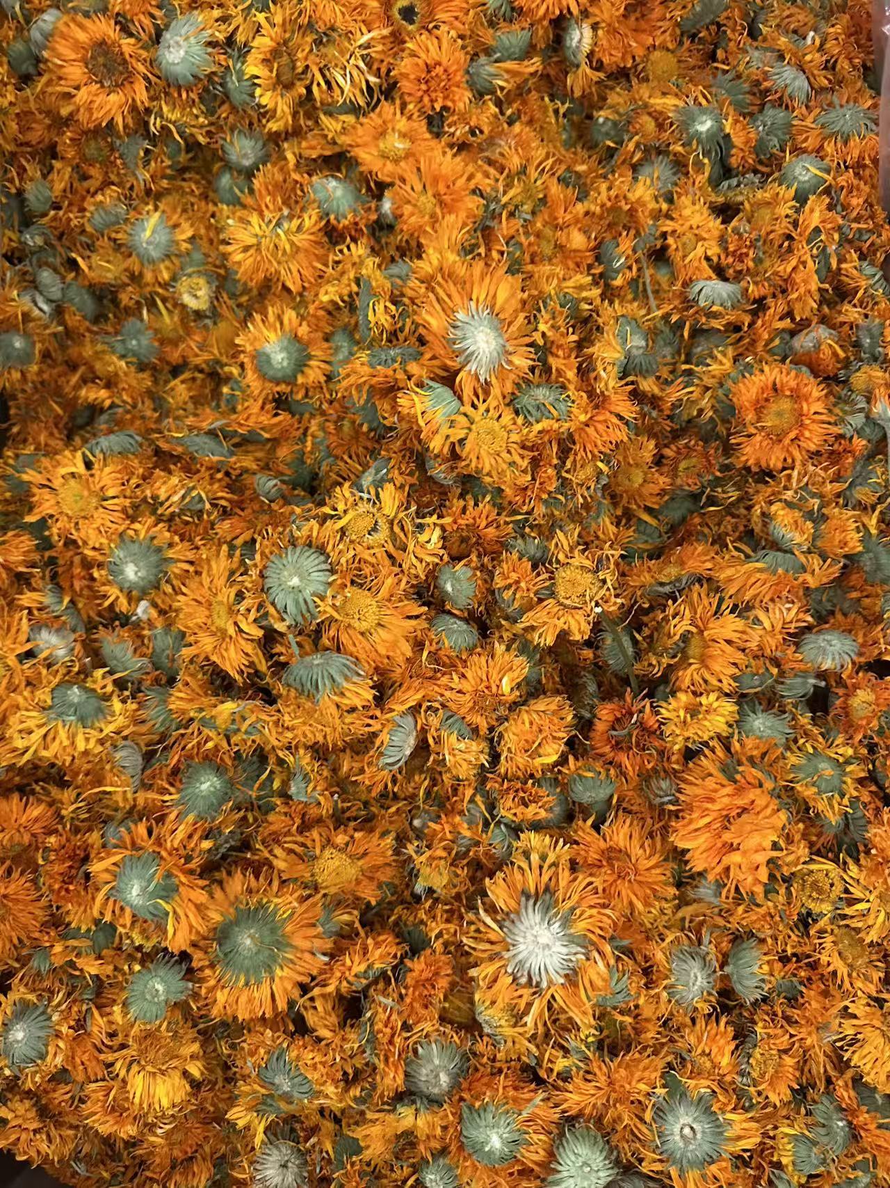 Calendula Dried Flowers (Calendula officinalis) — 500g Loose Pure Petals Herbal Tea in use