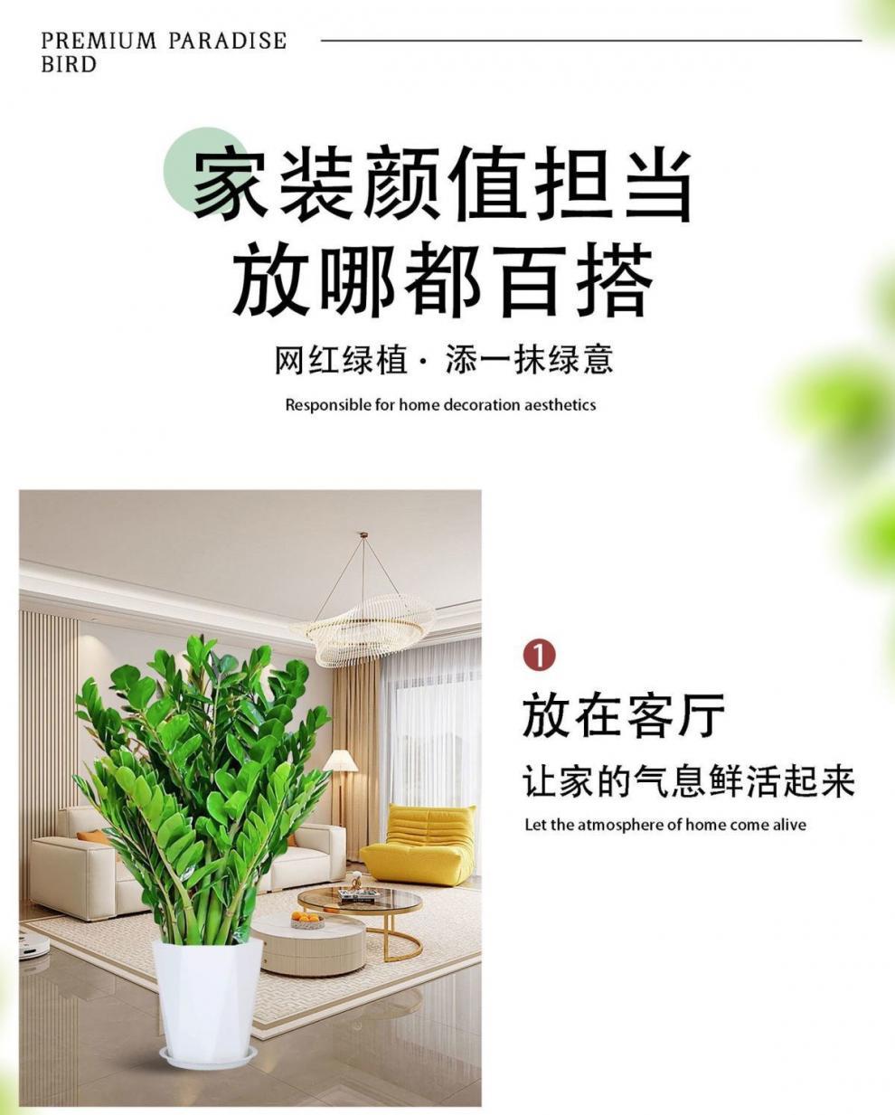 26e1e787-7cab-48e5-9089-414a49bd9004.jpe