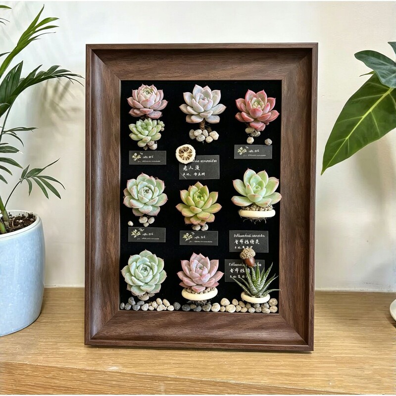 Retro Solid Wood Air Plant Photo Frame Creative Micro-Landscape Decorative Picture Frame Tabletop Wall Hanging 3D Magnetic Photo Frame