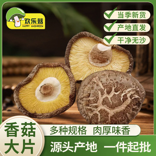 �㹽��Ƭ��؛�������㹽���Ƭ���؛Ģ����ľҰ��������ֱ�l