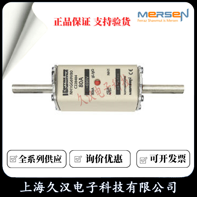 罗兰熔断器NH1GG69V80/C228484  NH1GG69V100/D228485