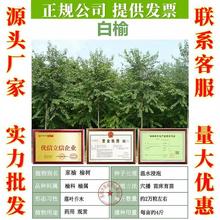 ܘNܘ䠝NӖ|ܘܘNܘX~ܷN