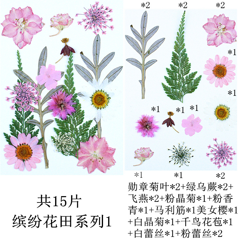 다채로운 꽃 밭 조합 1