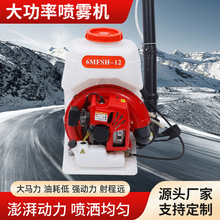 6MFSH-12大功率喷雾机背负式汽油机喷雾弥雾器消毒机果园打药风水