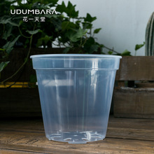 �Ӻ�����m�������϶���ʯ���m���Nֲ���N�����͸���^���A������