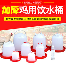 鸡水桶水槽饮水壶小鸡饮水器自动饮水壶喂水器养鸡设备用品