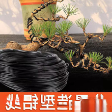 �辰�������z�_�h�������X���@�֘������Ͷ������F�zܛ�X�z�@ˇ��