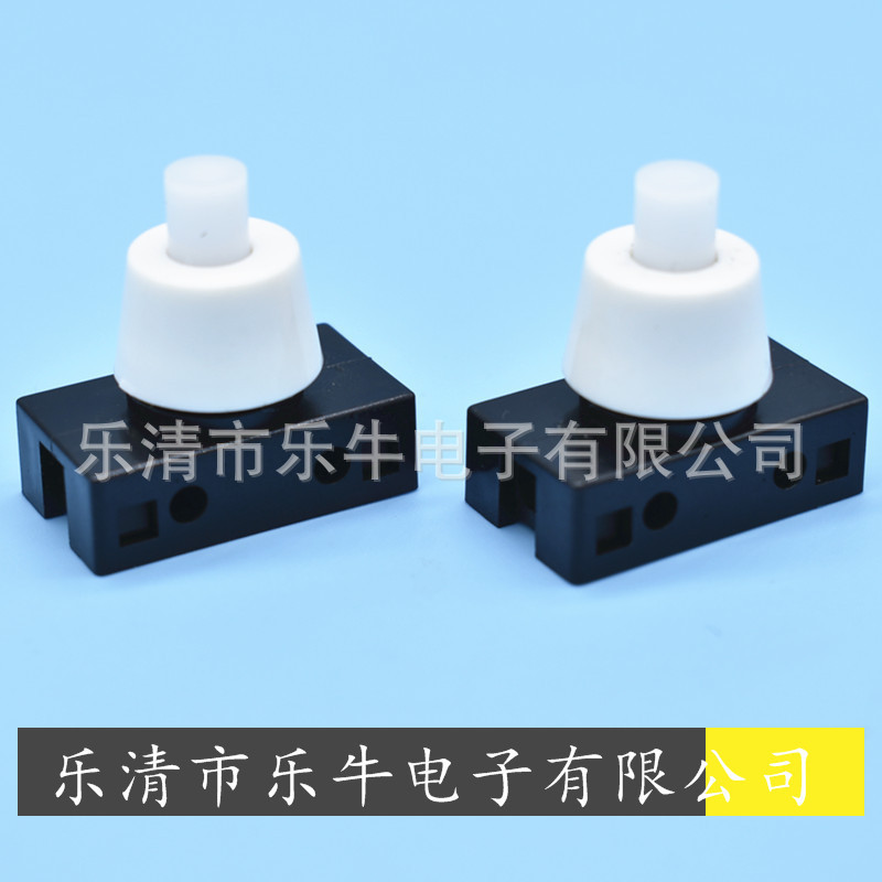 按键自锁开关 DS-412 各类电器灯具按键开关 PBS2-1A