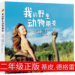 �ҵ�Ұ����������������꼉���꼉��Ͻ������꼉������ͯ��һ��