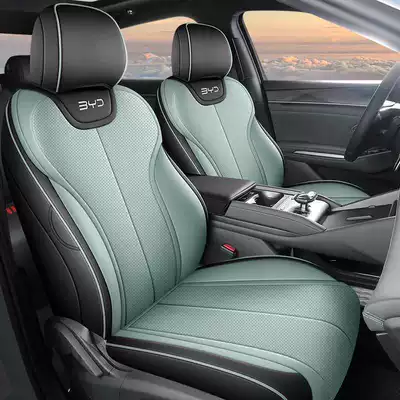 Leather Four Seasons Seat Cushion, Modelə uyğun (Original) oturacaq örtükləri - ice-amber-green-standard-edition-qin-ls-special-five-seater-full-package-for-the-front-row-half-package-for-the-rear-row