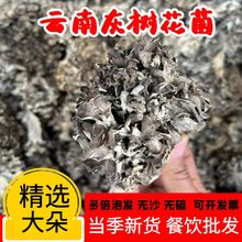 灰树花干货云南高山特产食用舞茸菌无泥无沙头茬小朵仿野生干巴菌