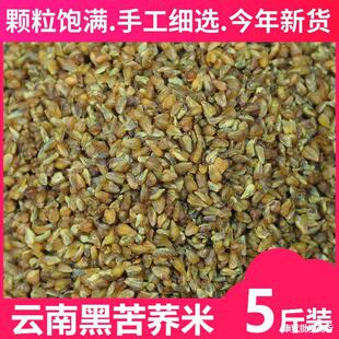 �ڿ��w��5����؛����r���Ԯa�w������ѿ���w����������s�Z���l