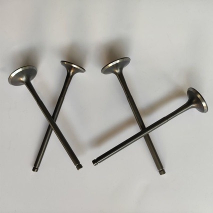 Suitable for Nc250 Motorcycle Engine Valve, Kewei Zongshen Zs177Mm Valve