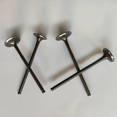 Kewei Zongshen Zs177Mm – Valves and components