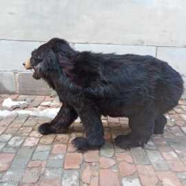 黑熊动物模型标本玩偶大型摆件影视道具拍照公园景点图片