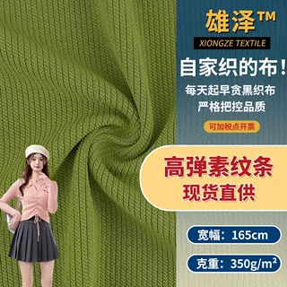 高弹素纹条 弹力肌理条纹布 350g打底衫上衣裙装时尚女装面料