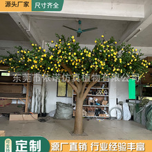 ���晎�ʘ�ˮ���� ɰ���������͹��� �̈��Ƶ곬��ֱ���쾰�b�