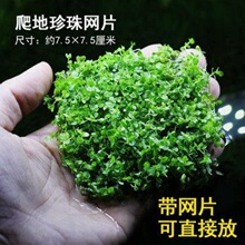 ��������WƬ��ֲˮ�����쾰���㰫�����ٳ�ǰ��ƺ�ײ����B