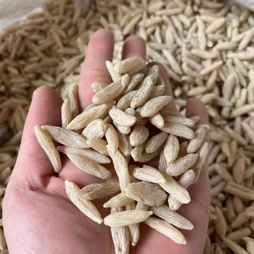 Sichuan Dwarf Lilyturf Root Ophiopogon Japonicus Dried Mai Dong for Soup and Tea 250g overview