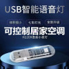 Artificial smart induction LED night light for bedroom, table lamp, voice control, human sensor