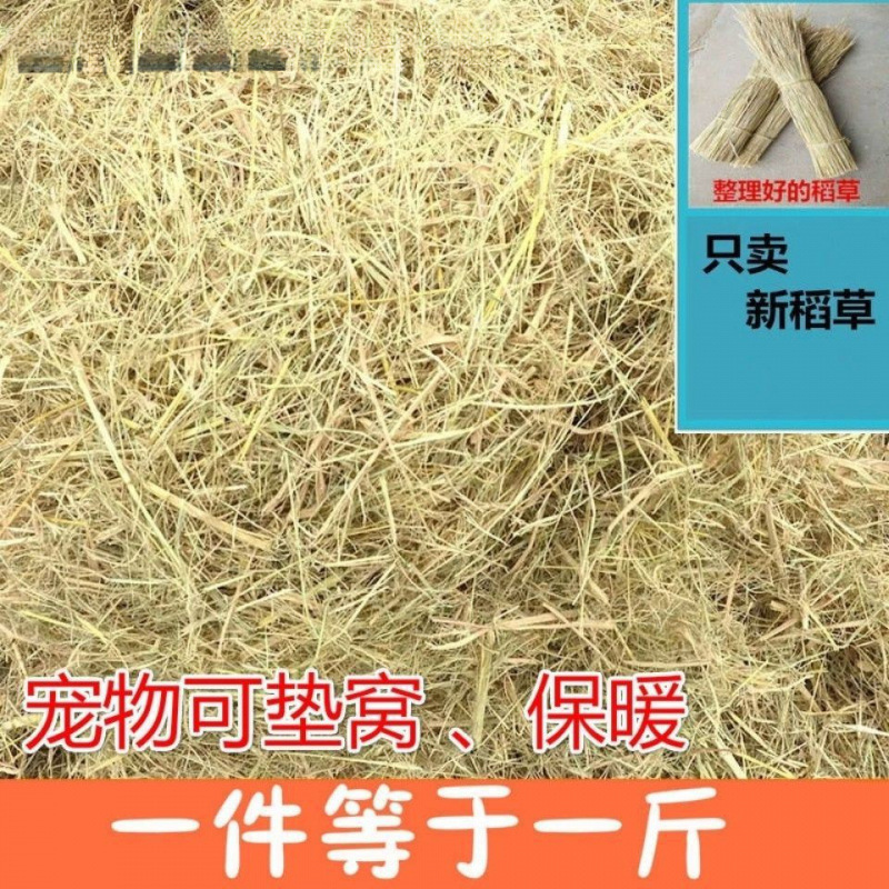 Natural Dried Straw Bedding for Rabbits, Winter Straw Doghouse, Chicken Pet Nest, Natural Dry Rice Straw, Wheat Straw, Grass