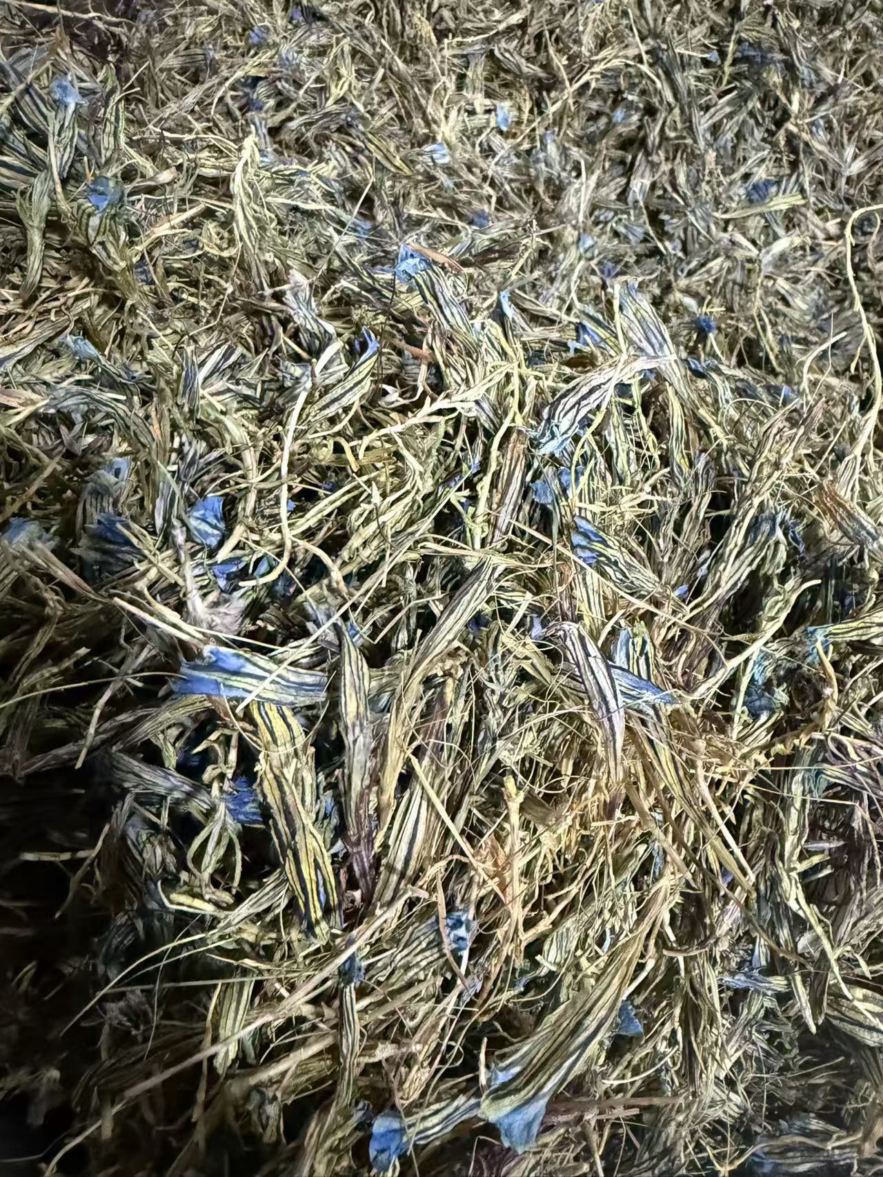 Dried Gentian Flower for Tea and Decoction 10g Bag Traditional Herbal Use specifications