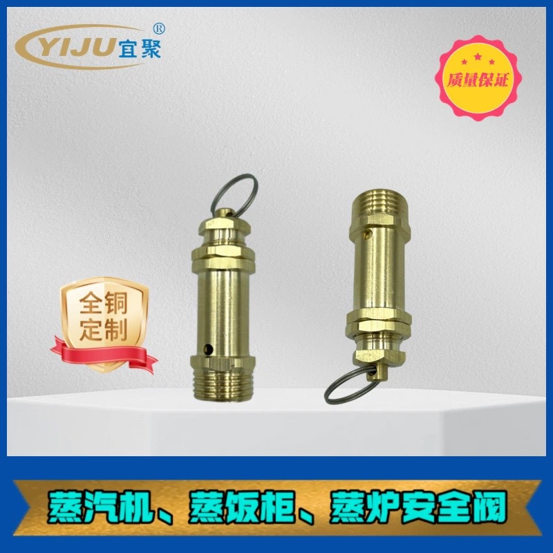 Прямые продажи с фабрики, профессиональная коммерческая кухонная плита для лапши, паровая машина, электромагнитный клапан для рисового шкафа, предохранительный клапан сброса давления