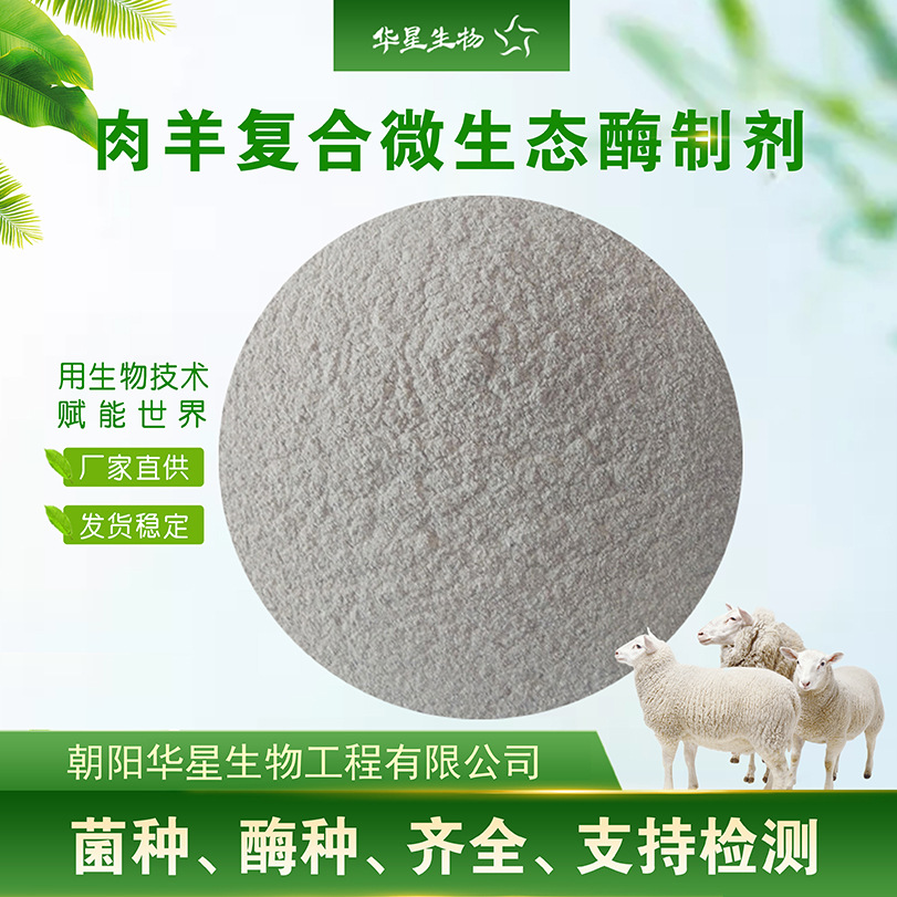 华星生物 肉羊多复合菌酶制剂浓缩型 羊用芽孢杆菌饲料添加剂