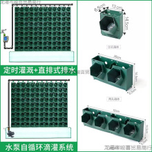 植物墙种植盒蓝宇园林阳台垂直绿化工程植物角墙壁花墙挂蜂巢容器