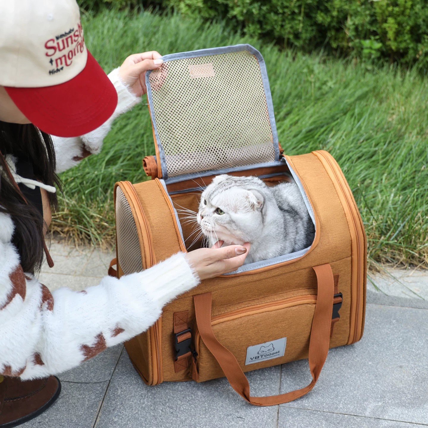 Pet Travel Backpack Cat Carrier Expandable Breathable Large Capacity Foldable Portable for Dog And Cat Outings_voghion.com