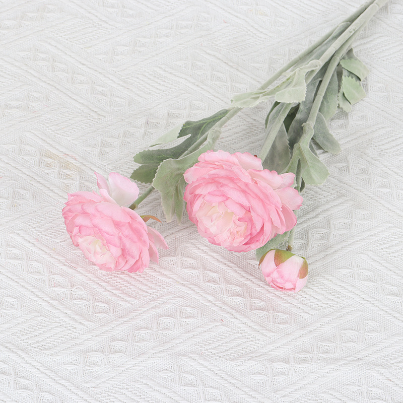 분홍색 보라색