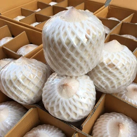 苹果;橙;其他水果