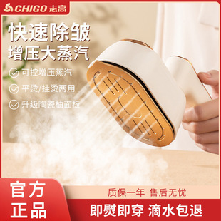 Handheld Steam Garment Ironing Machine, Household Small Electric Iron, Portable Iron for Ironing Clothes, Others